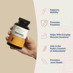 MSM and hyaluronic acid components visualization