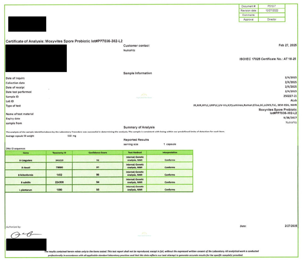 Digestive health concept with an illustrated gut