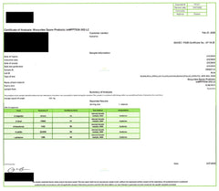 Digestive health concept with an illustrated gut