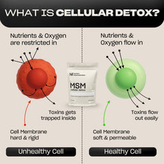 MSM powder supports skin, hair, nails