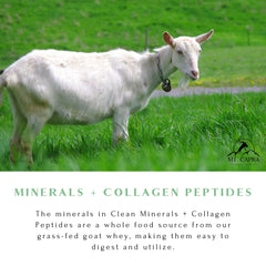 Nutrition label close-up highlighting minerals and protein