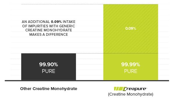 Rear/back view of the Creapure Creatine powder container