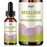 Hero image of Mullein Drops for Lungs bottle