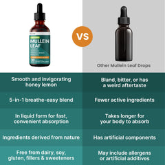 Ginger root illustration for Mullein Drops