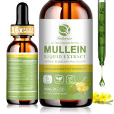 Mullein Drops hero image showing lungs and relief