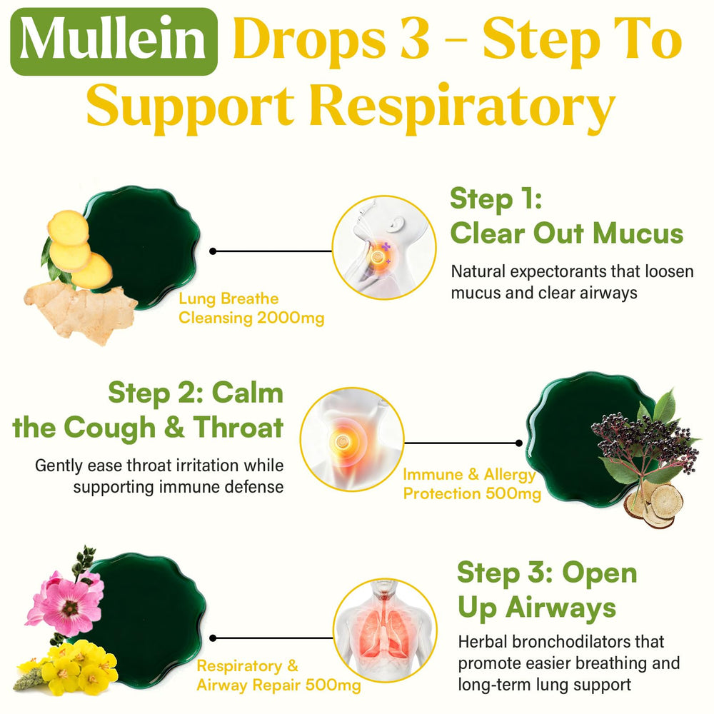 Ingredients chart showing mullein, elderberry, thyme and chlorophyll