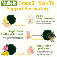 Ingredients chart showing mullein, elderberry, thyme and chlorophyll