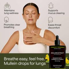 Illustration of respiratory health support with mullein