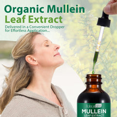 Natural ingredients and mullein drops bottle