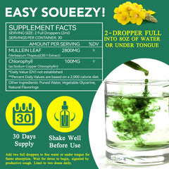 Lungs health concept with herbal drops