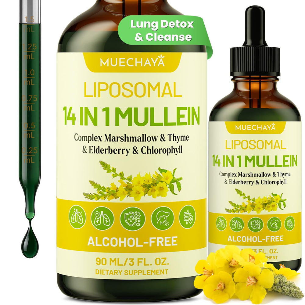 Hero image of Mullein Drops For Lungs mint flavor in a 3 fl oz bottle