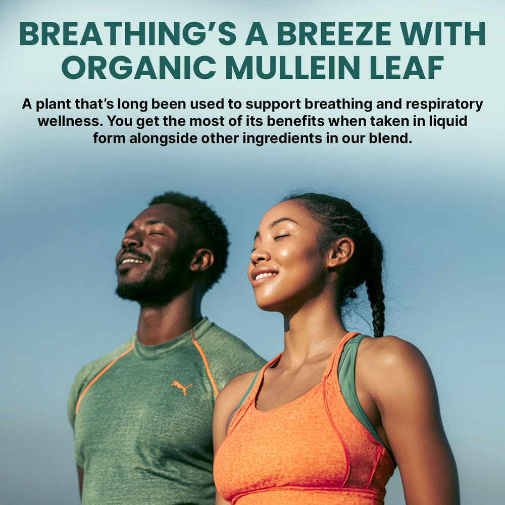 Orange peel slices used for flavor