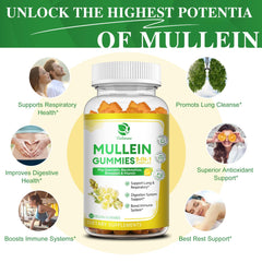 Illustration of mullein gummies with elderberry and marshmallow