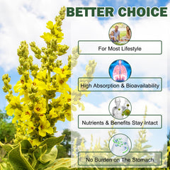 Ingredient and nutrition panel for mullein gummies