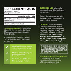 Outer packaging for Mullein Leaf Capsules