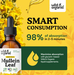 Mullein leaf extract 700 mg per serving