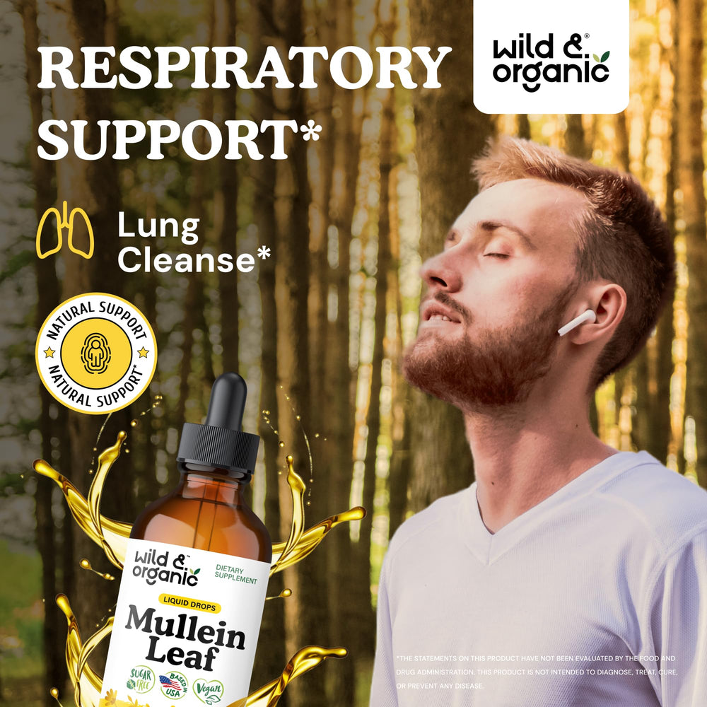 Close-up of mullein leaf extract for lungs