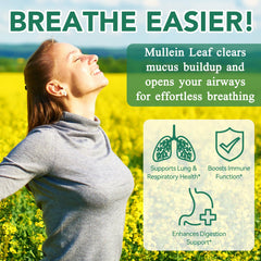 Mullein leaf extract gummies for respiratory support