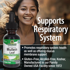 Non-GMO and gluten-free mullein leaf extract ingredients