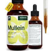 Bottle of Mullein Leaf Liquid Extract 4 fl oz