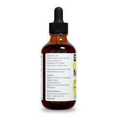 Concept image of lung health and immune support