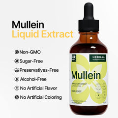 Herbal respiratory health tincture for adults