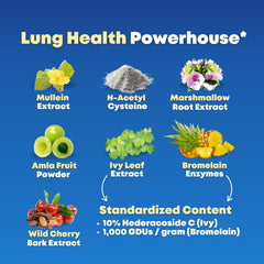 Two vegan capsules representing daily serving