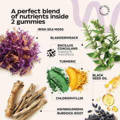 Graphic highlighting immunity, thyroid and gut health benefits of sea moss gummies