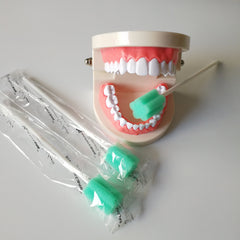 Close-up of the 6.2-inch latex-free sponge and white PP plastic handle