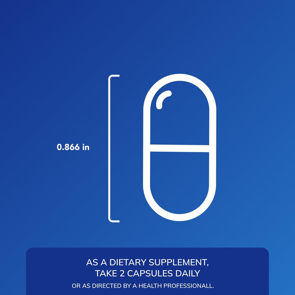 Nicotinamide and pyridoxine vitamins featured for Muscle Repair+