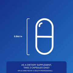 Nicotinamide and pyridoxine vitamins featured for Muscle Repair+