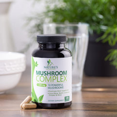 Natural nootropic mushroom supplement ingredients