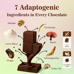 Close-up of cocoa, coconut oil and coconut sugar ingredients