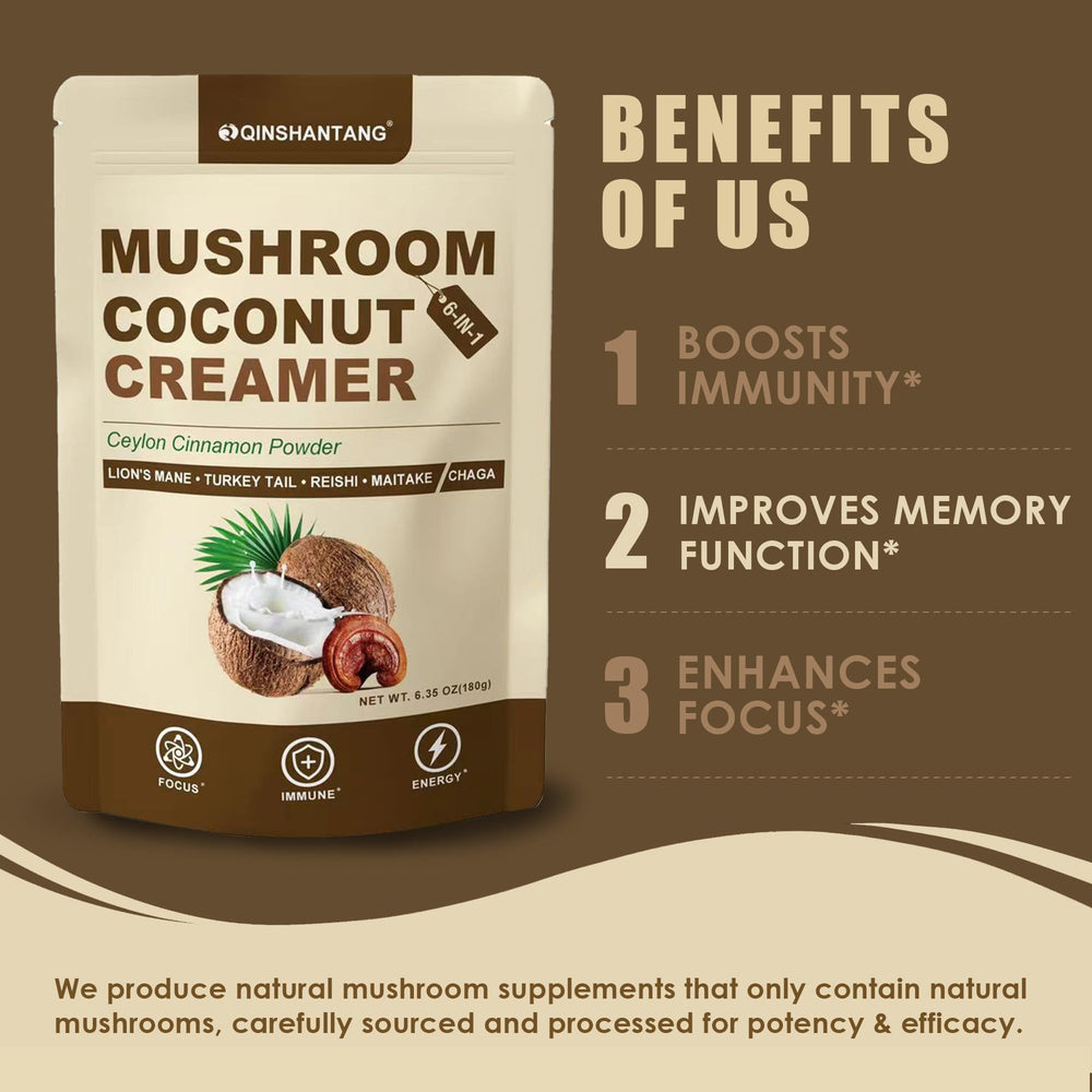 Close-up of the five mushrooms used: Lion's Mane, Turkey Tail, Reishi, Maitake, Chaga
