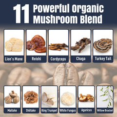 Ashwagandha and L-Theanine for energy and focus