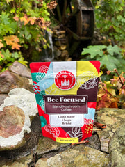 Close-up of Lion's Mane, Chaga and Reishi mushrooms