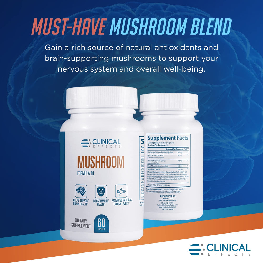 Assorted mushroom extracts for nootropic blend