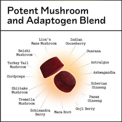 Premium functional mushroom blend label and packaging