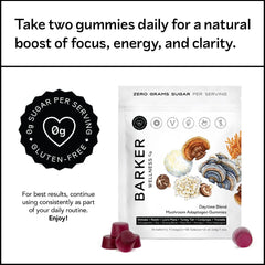 Adaptogenic superfoods ingredients close-up