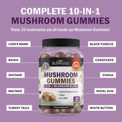 Visual representation of the 10-in-1 mushroom blend
