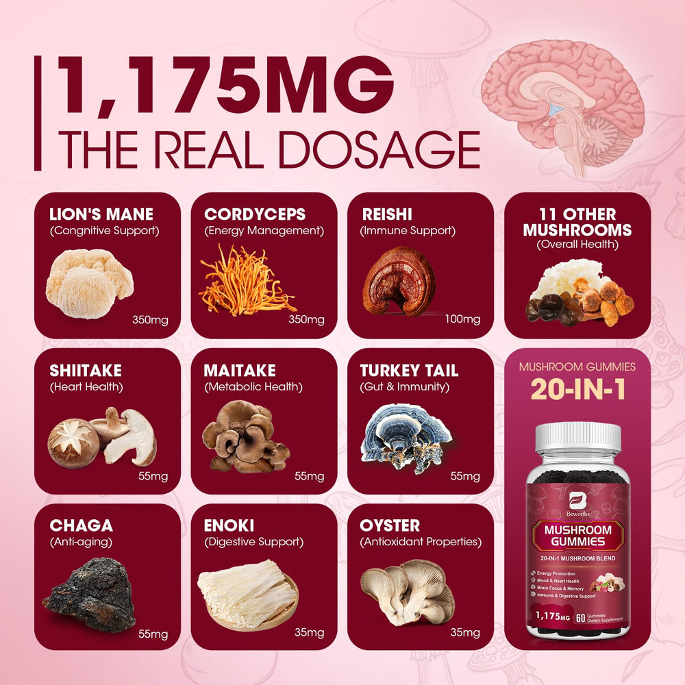 Infographic of 20 mushroom extracts including Lions Mane, Reishi and Cordyceps