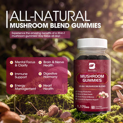 Close-up of raspberry-flavored mushroom gummies