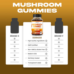 Mushroom blend ingredients including Lion's Mane, Cordyceps and Reishi