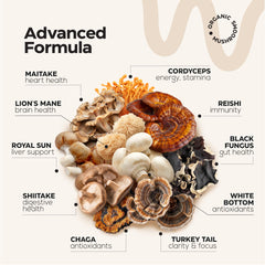 Ashwagandha root representing ingredient