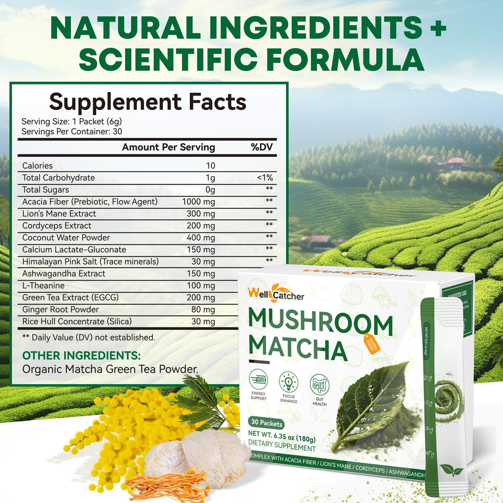 Close-up of organic mushroom matcha powder