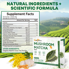 Close-up of organic mushroom matcha powder