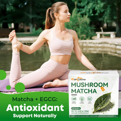 Single-serve sachet of mushroom matcha powder