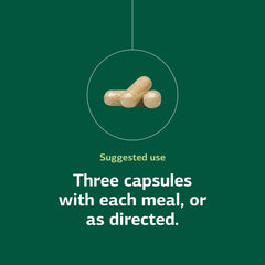 Illustration of mushroom powder for immune support