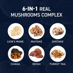 Ingredient lineup: Shiitake, Reishi, Maitake and Agaricus Blazei