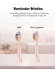 Charging base for MySmile DY 156 rechargeable toothbrush